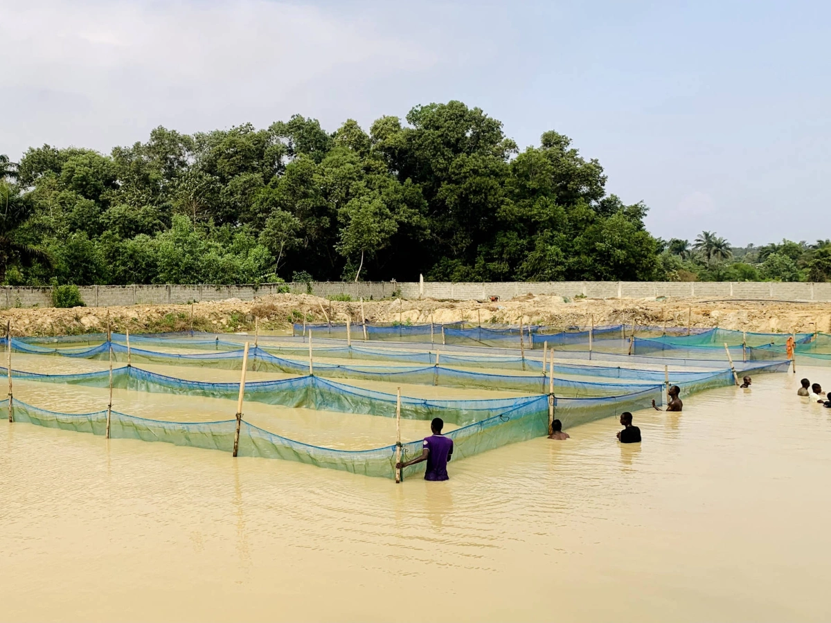 Projet PROMAC : 05 villages aquacoles bientôt impactés grâce au soutien de la BAD